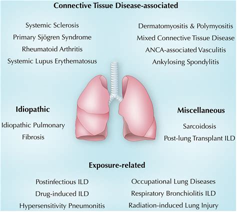Upper Lobe–Predominant Diseases of the Lung .